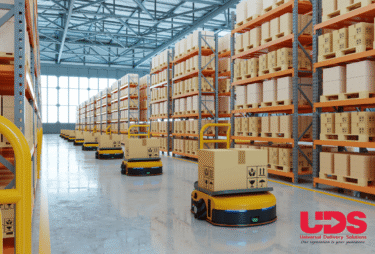What Makes UDS the Best Courier Service from UK to India?